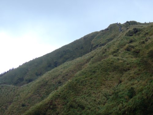 yangmingshan_090